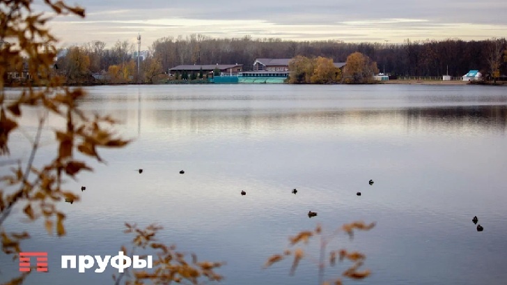    Фото: Пруфы.рф