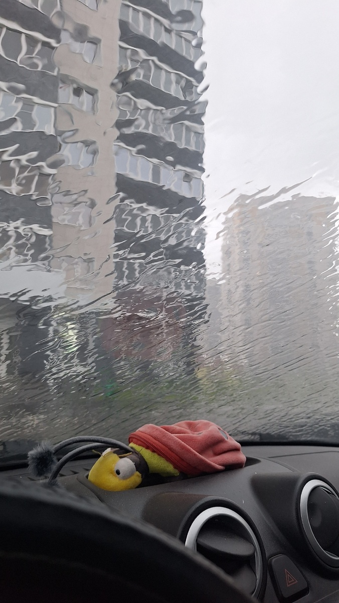 Фото автора. 