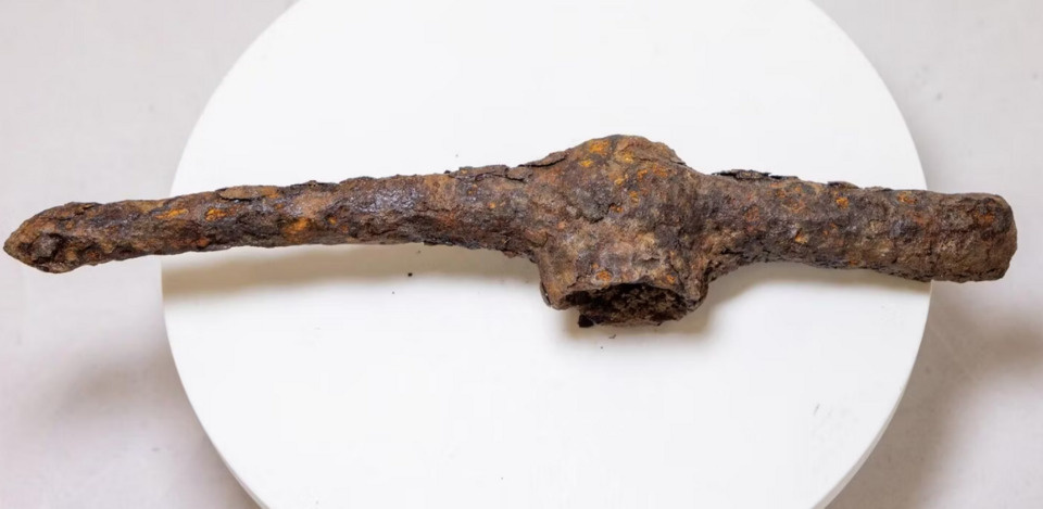   Сибирский федеральный университет