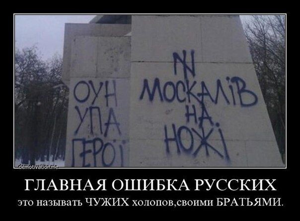 Яндекс. Картинки.