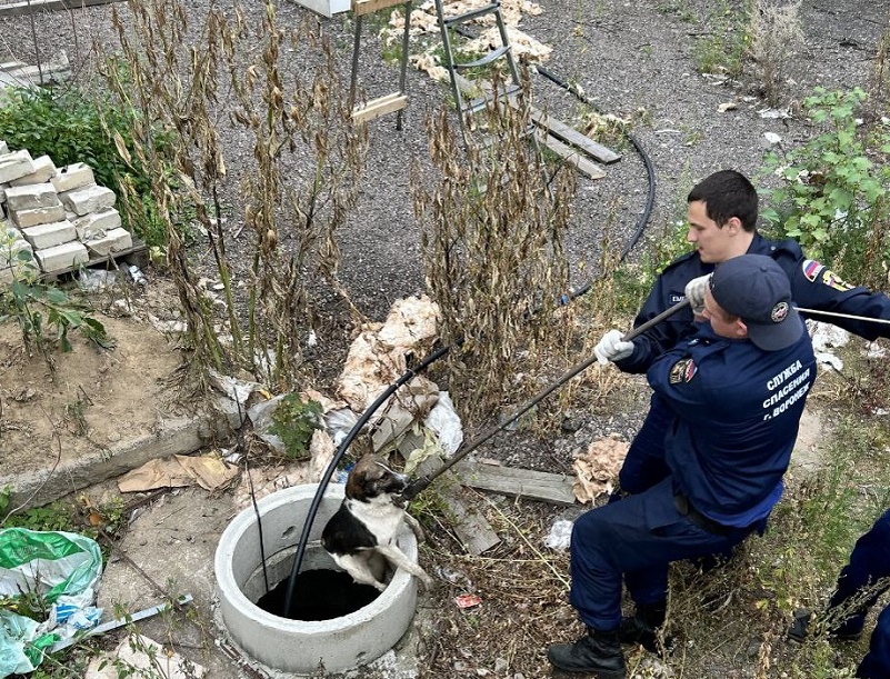     Фото: пресс-служба управления по делам ГО и ЧС