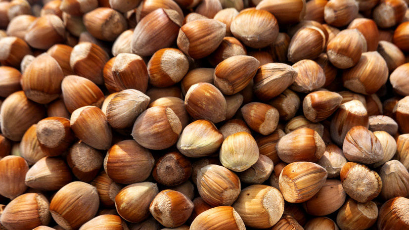   Gettyimages.ru Westend61