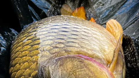 Фото с сайта: https://avatars.mds.yandex.net