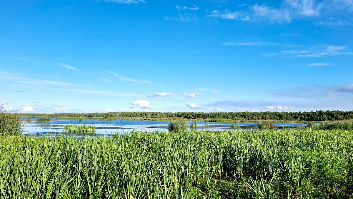 Разливы Колманского озера.