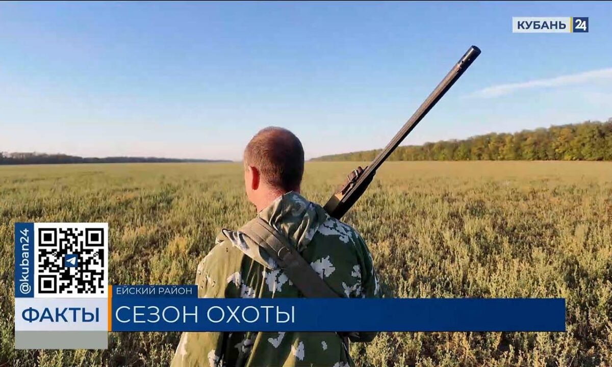    Видео канала «Кубань 24»