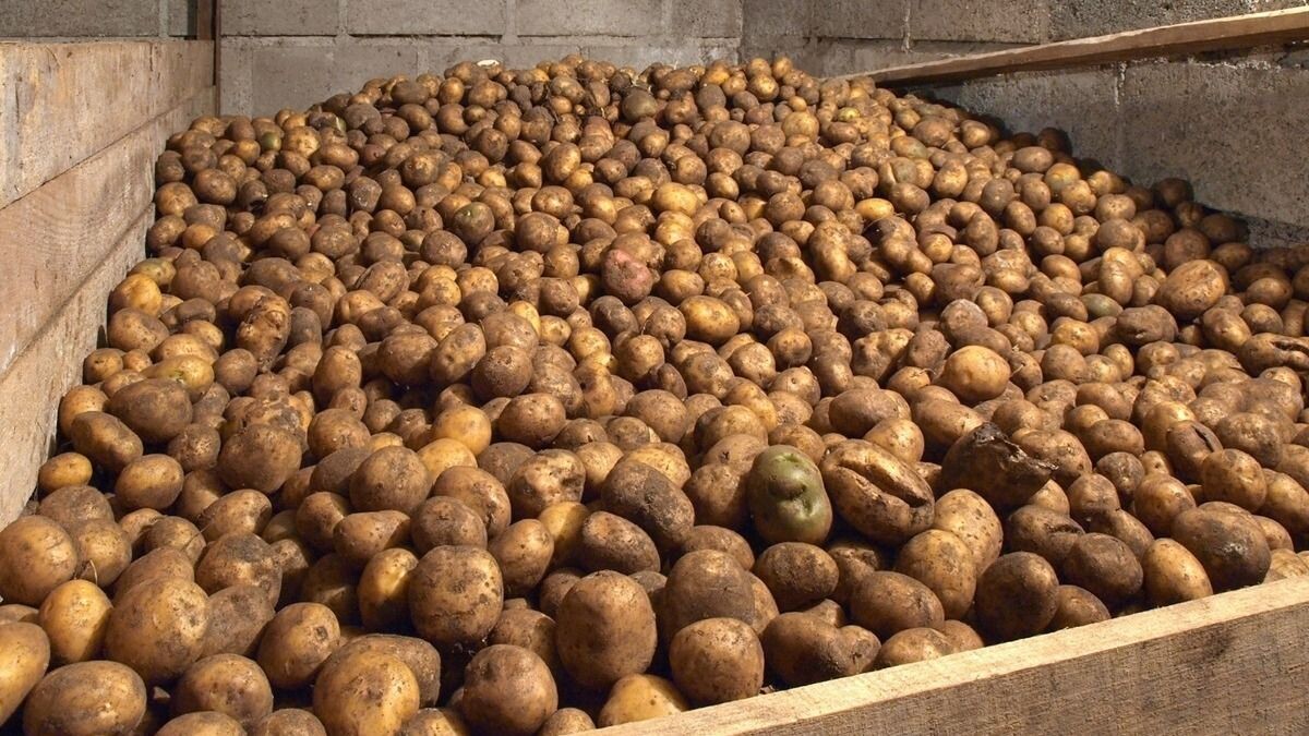 Фото использовано в качестве иллюстрации. Источник Яндекс-картинки