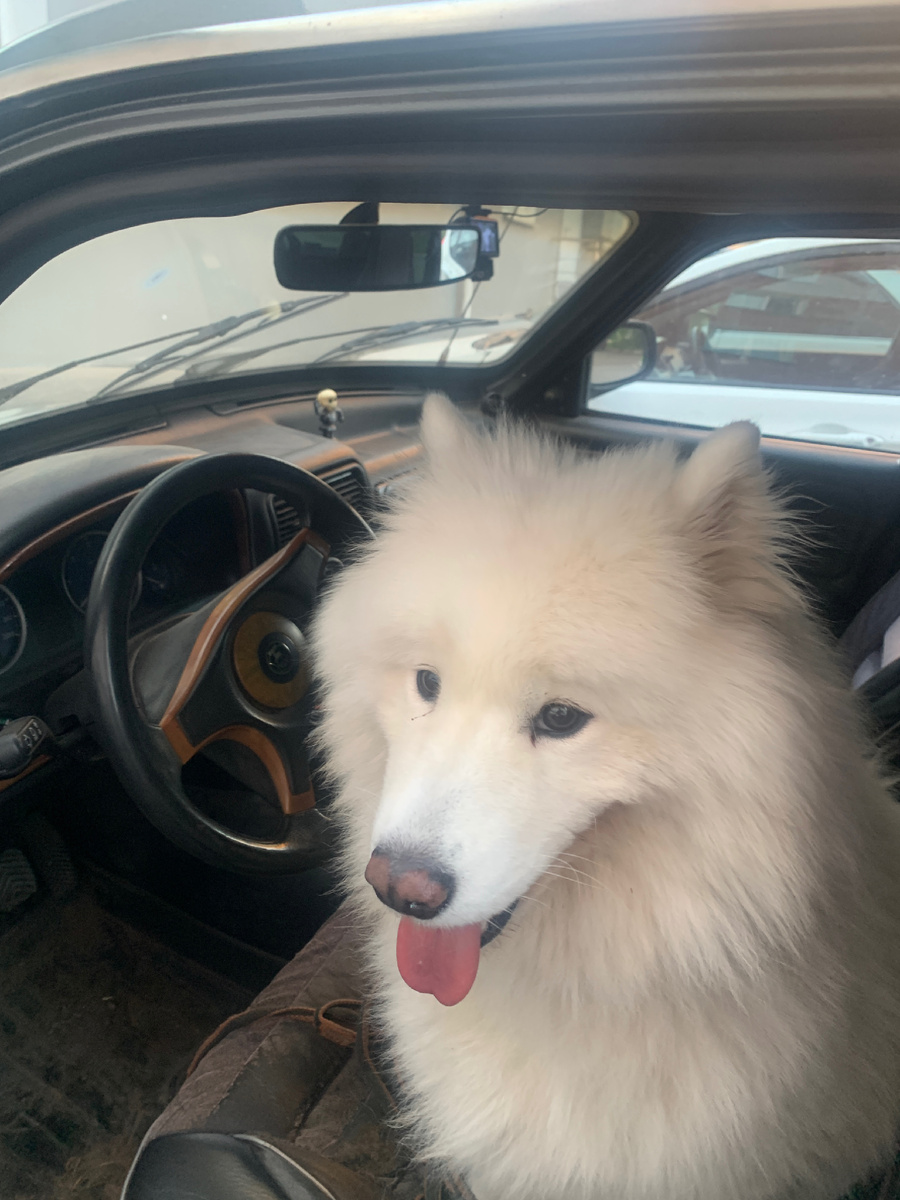 Вези меня, извозчик…