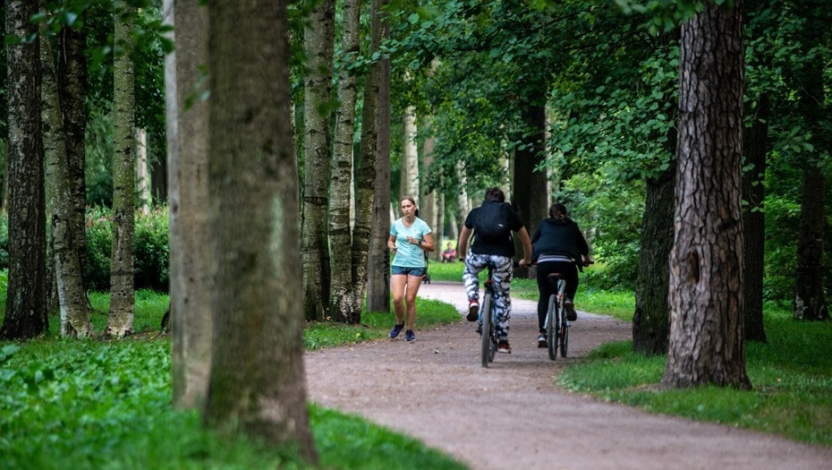    Удельный парк. Автор фото: Тихонов Михаил/ДП