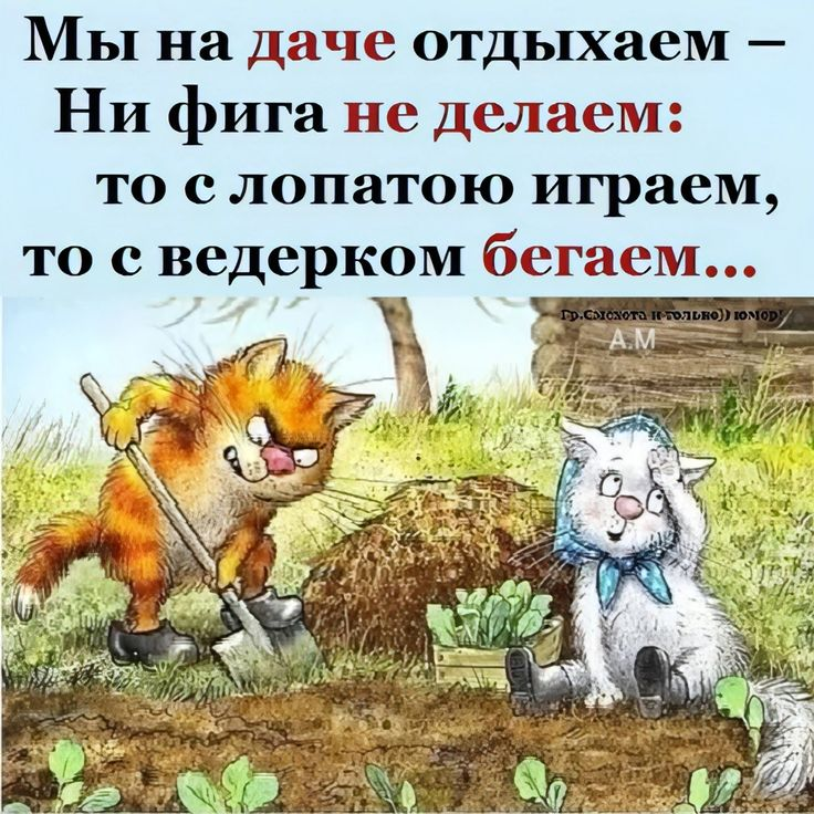 синие коты Рины Зенюк