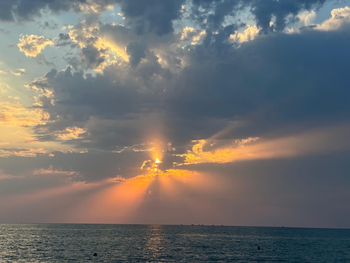 Фотография автора. 