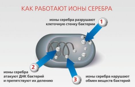Серебро имеет антибактериальные свойства