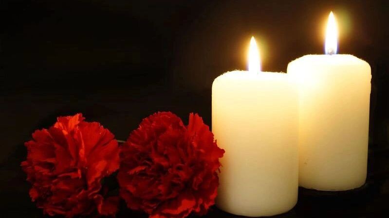    Фото: R.Danyliuk/Shutterstock/Fotodom