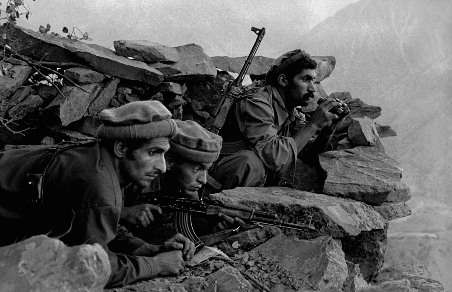 фото из интернета.