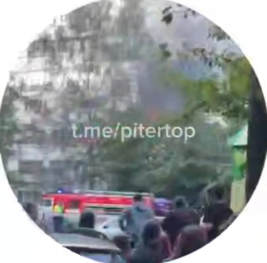    Фото: скриншот видео телеграм-канала «Петербург с огоньком»