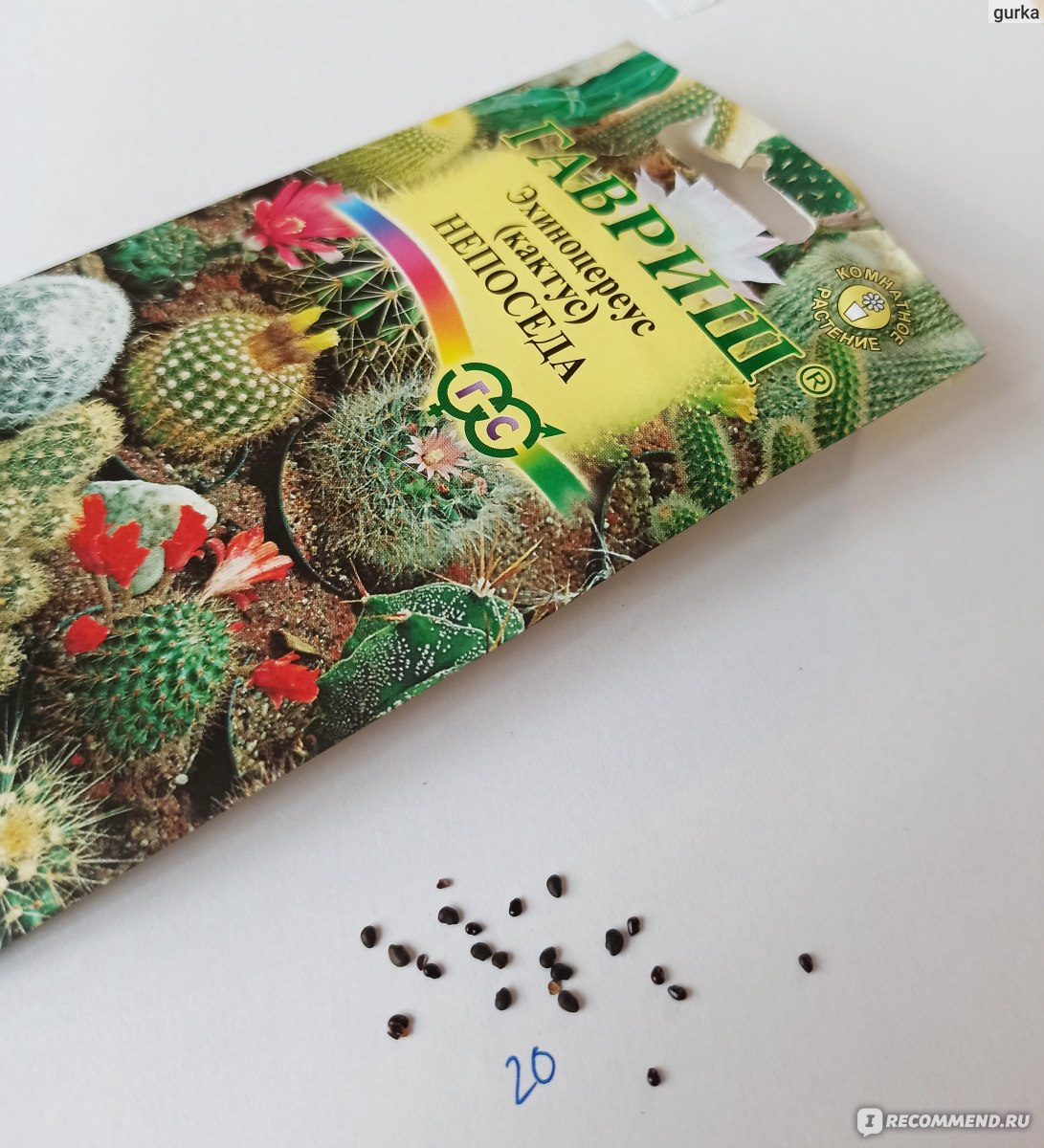 Источник: https://irecommend.ru/content/uvlekatelnoe-no-dolgoe-zanyatie-vyrashchivanie-kaktusov-iz-semyan  