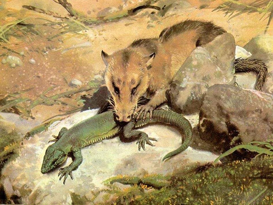 Мегазостродон поймал рептилию.