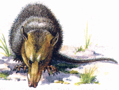 Мегазостродон в естественной среде.