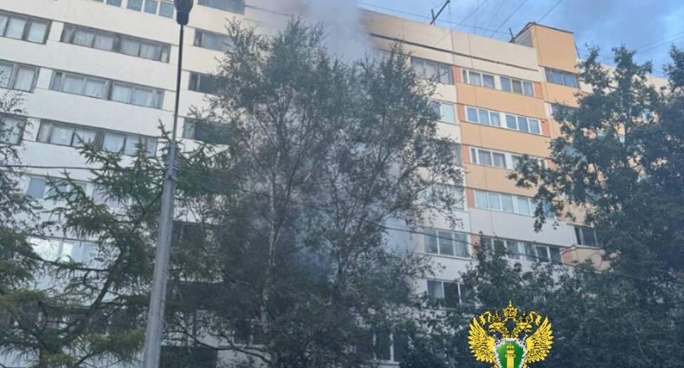    Прокуратура Санкт-Петербурга / Telegram