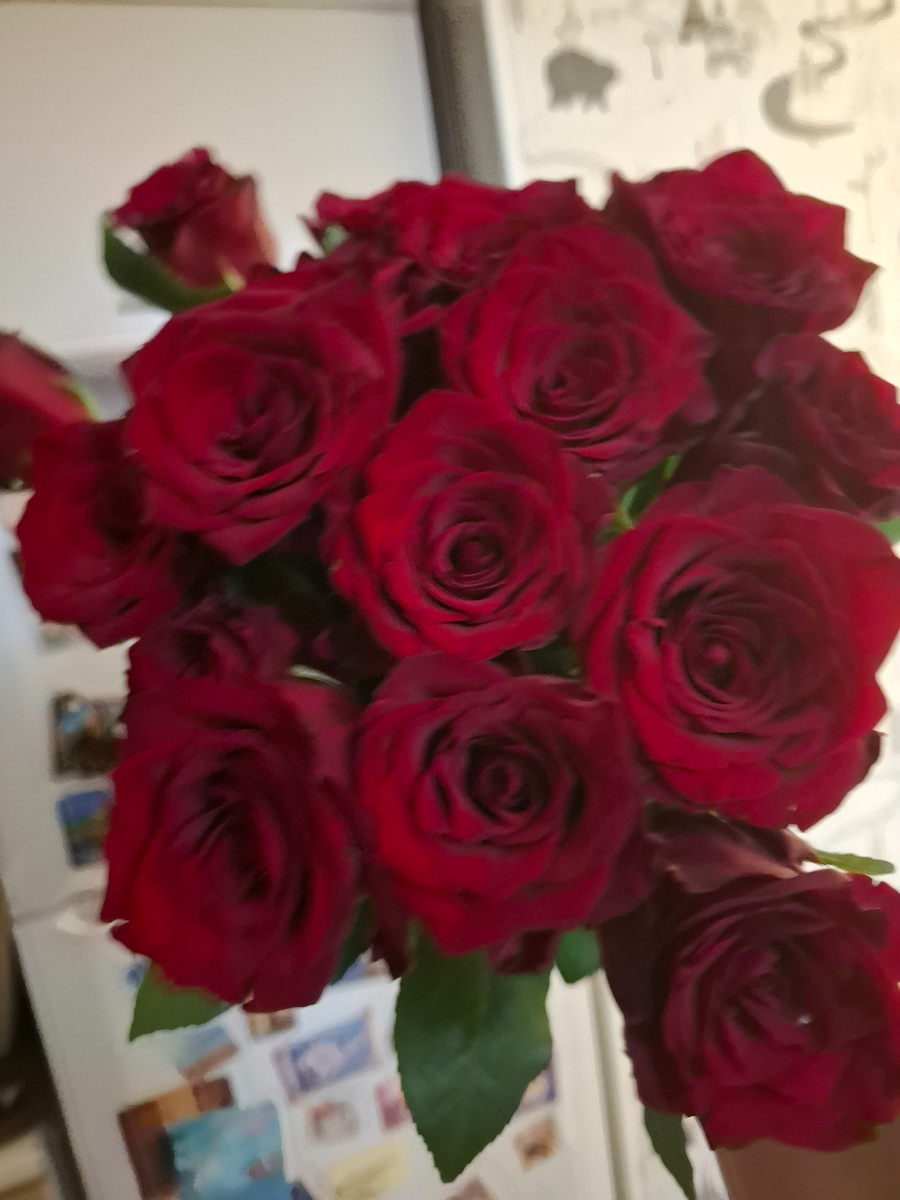 Питер приятно встретил с цветами. Ооооочень неожиданно и приятно.