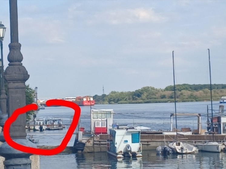    Фото: Дондей Редактор