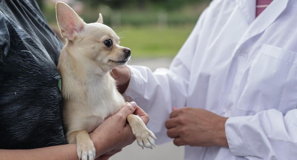    Минсельхоз МО