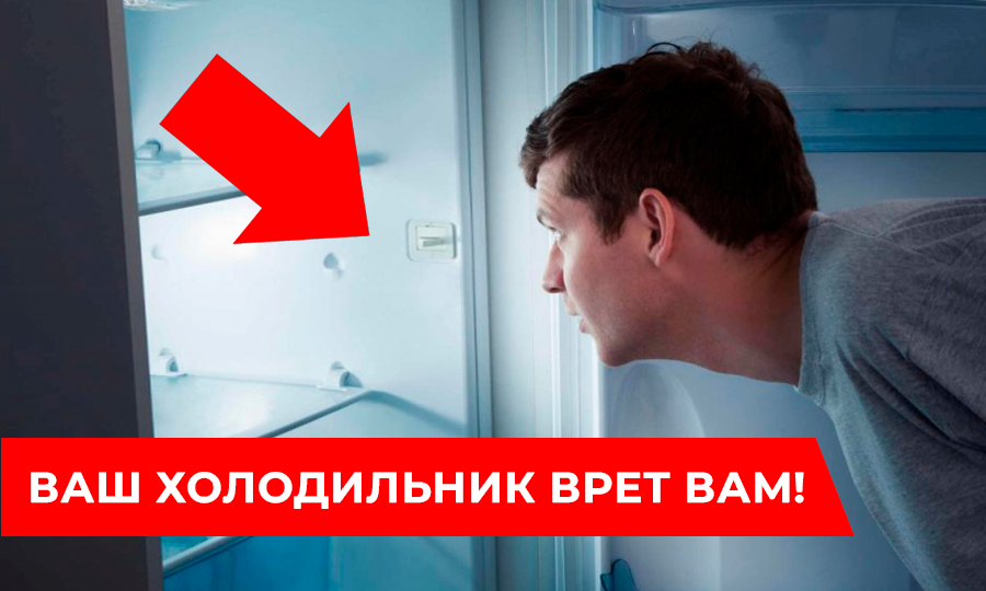 Как правильно выбрать холодильник: 7 секретов, которые производители не хотят, чтобы вы знали!