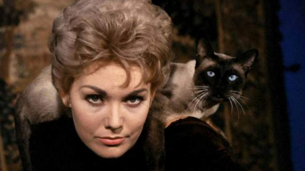 Сиамский кот и напарник злой ведьмы из фильма "Колокол, книга и свеча"