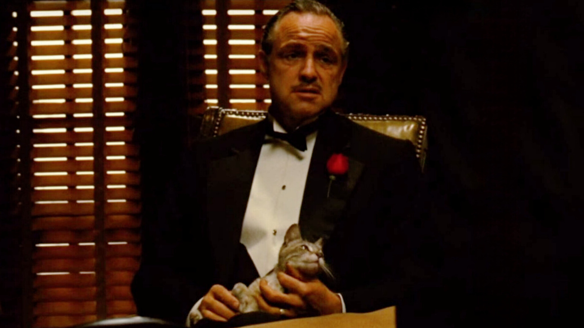 Кадр из кинофильма "Крестный отец"