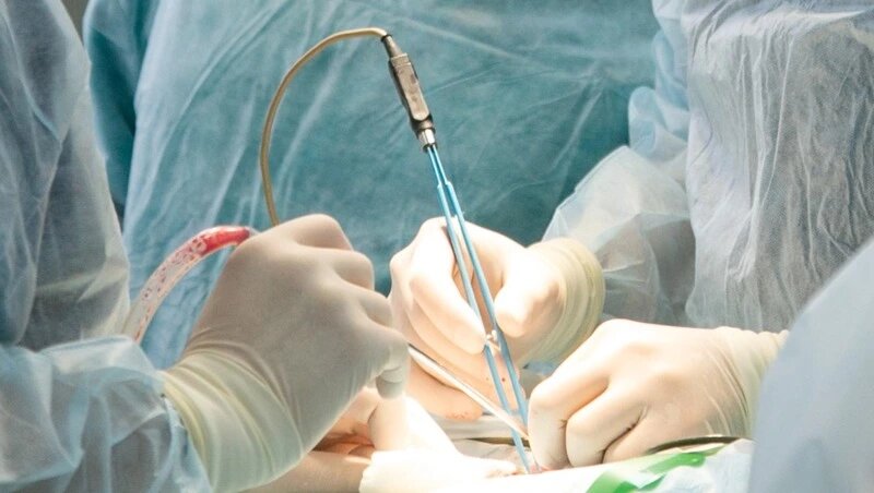      Фото: Валерия Алтухова / / ИА «Победа26»