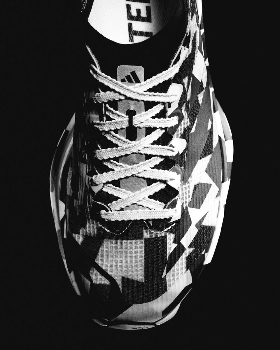 Adidas Terrex Agravic Speed Ultra 2