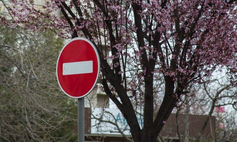    Фото пресс-службы администрации Краснодара