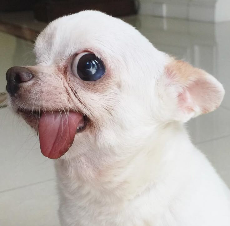 Из открытых источников.