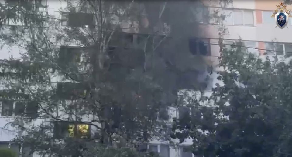    Следственный комитет России по городу Санкт-Петербургу / Telegram