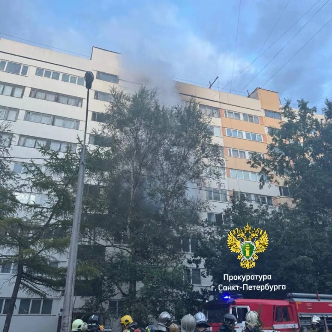    Фото: пресс-служба прокуратуры Петербурга