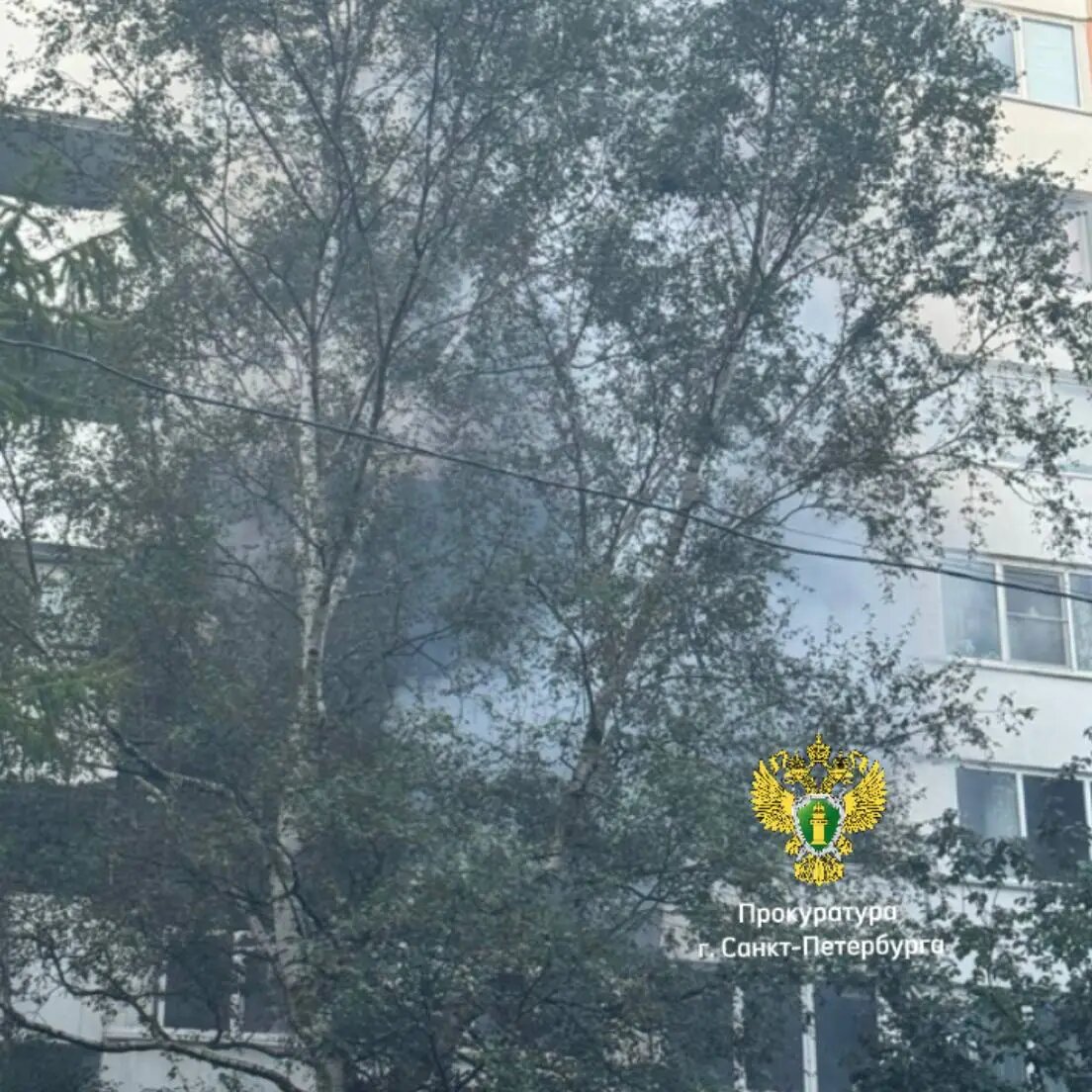    Фото: пресс-служба прокуратуры Петербурга