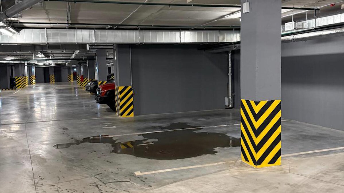    Фото: t.me/vyborgsky_spb