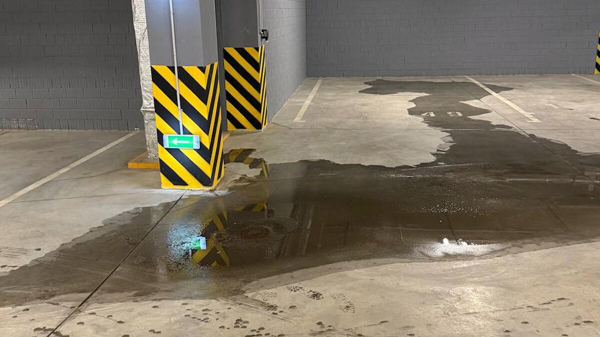    Фото: t.me/vyborgsky_spb