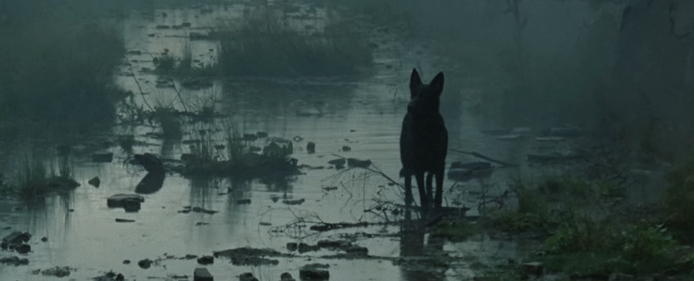 Кадр из фильма «Сталкер», 1979 (Режиссер: Андрей Тарковский)