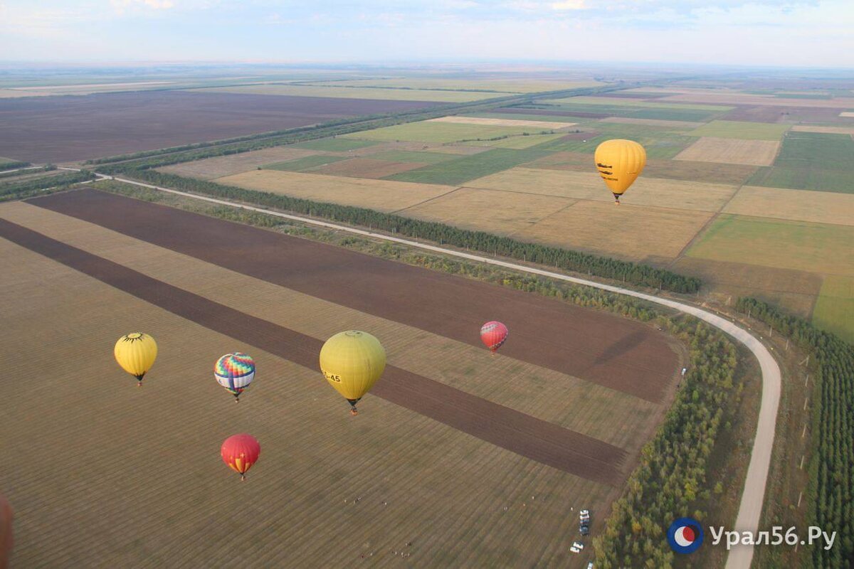   24 предложения руки и сердца было сделано на фестивале воздушных шаров «Соленый ветер» в Соль-Илецке