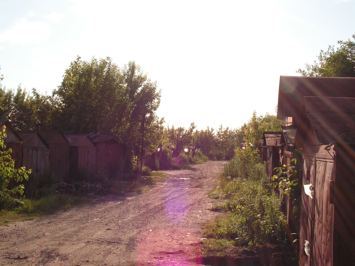 Толя застал его не в квартире, а в его святая святых — в гараже на окраине двора.