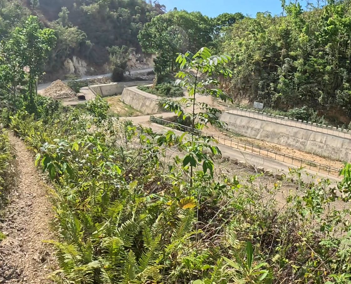 начало нашего пути к водопаду Камбаис