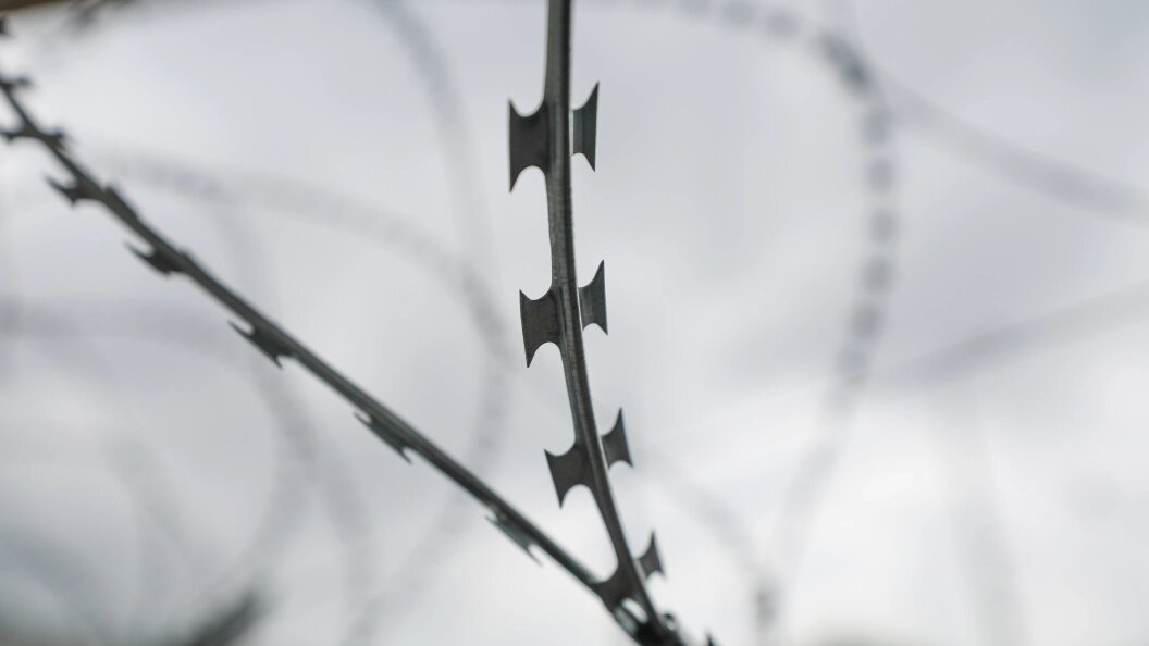    Фото: Belkin Alexey/news.ru/Globallookpress