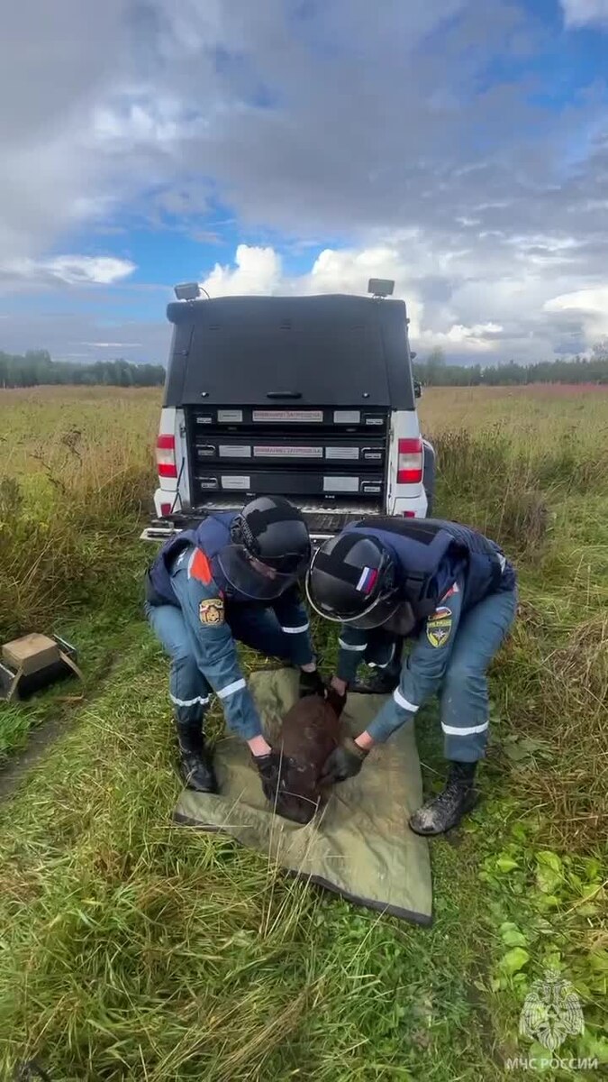    © Пресс-служба МЧС России