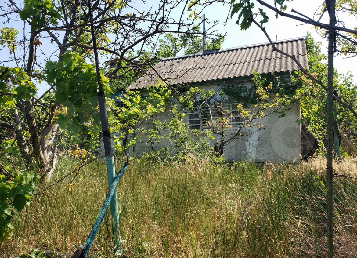 Мои домик и сад в запущенном состоянии 