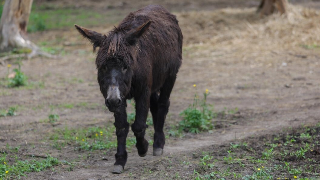    Фото: Globallookpress