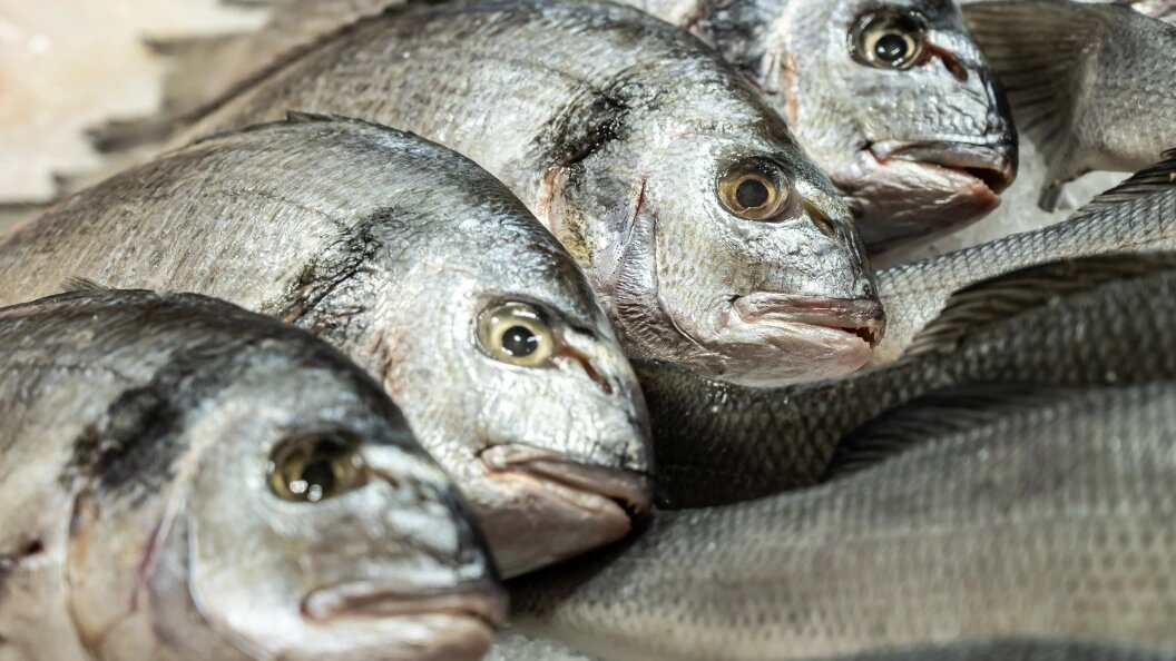    Ruslan Yarocky/URA.RU/Globallookpress