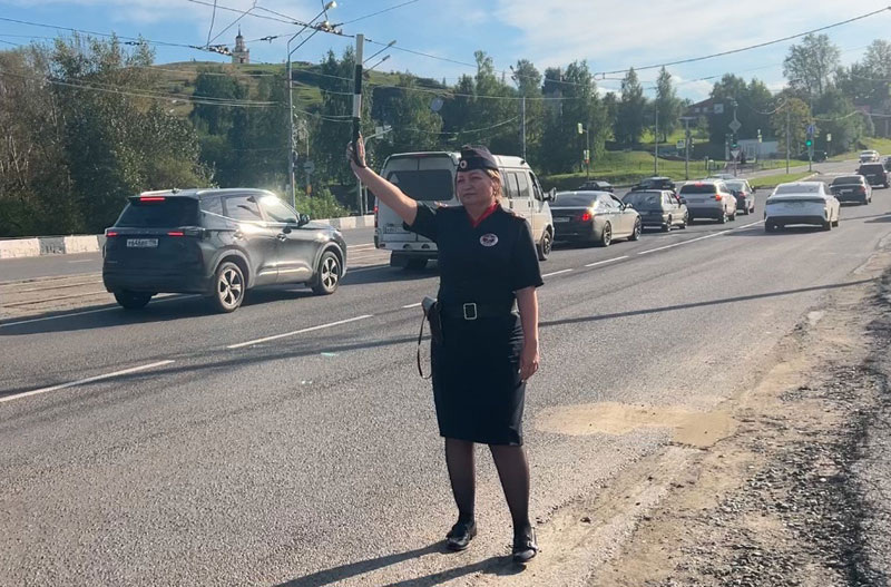     Фото: Госавтоинспекция Нижний Тагил