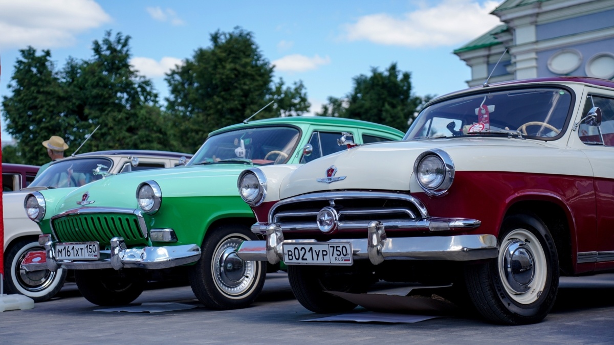 Светлана Мулыкина📷
