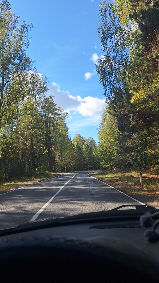 Фото автора. Для обложки.