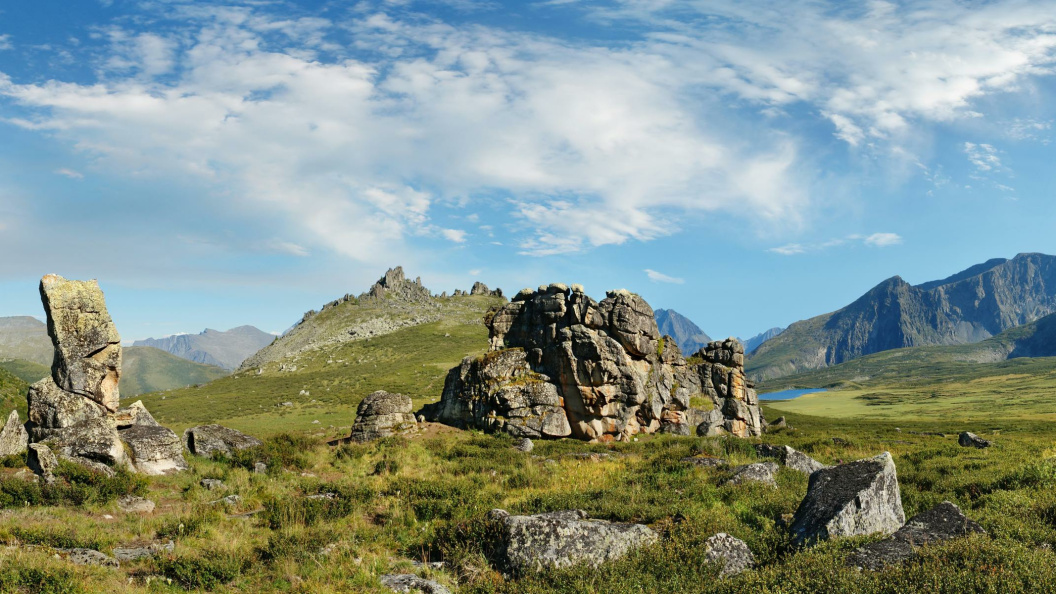    Фото: Sergey Malkov/Russian Look/Globallookpress